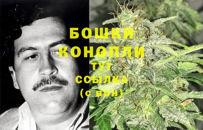 купить закладку  Кизляр  Шишки марихуана LSD WEED 